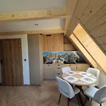 Pod Kopiencem Apartment Zakopane